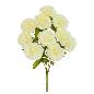 RAMO CLAVEL (A) X 10-45 CM CREMA