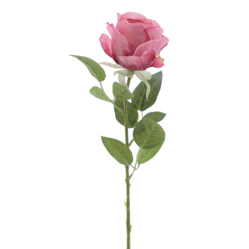 CAPULLO 66 CM FUCSIA