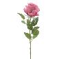 CAPULLO 66 CM FUCSIA