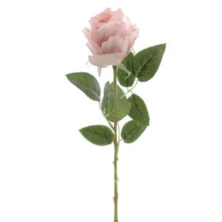 CAPULLO 66 CM MALVA