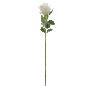 CAPULLO 66 CM CREMA