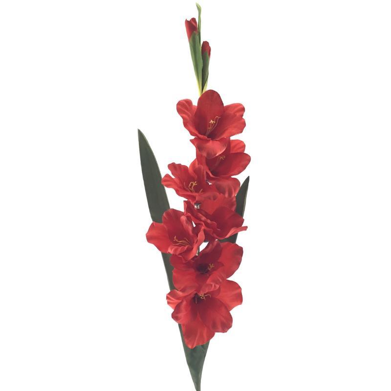 GLADIOLO ROJO