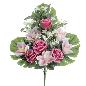 PALMA ROSAS CAPULLOSS CYMBIDIUM FUCSIA