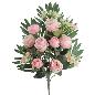 PALMA ROSAS CABBAGE ROSA