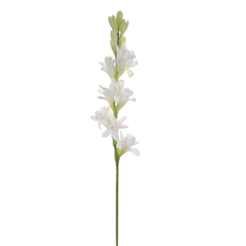 NARDO BLANCO