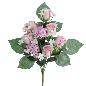 PALMA CAPULLOS HORTENSIAS MALVA