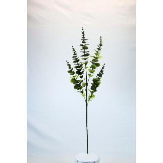 V.EUCALIPTO R.T VERDE