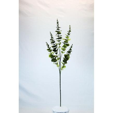 V.EUCALIPTO R.T VERDE