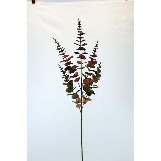 V.EUCALIPTO R.T BURDEOS
