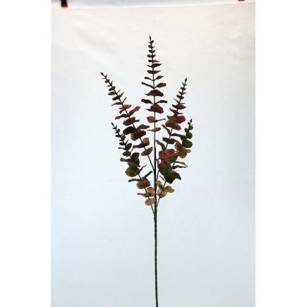 V.EUCALIPTO R.T BURDEOS