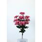 CLAVEL MICROPEACH X9 ROSA