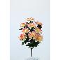 CLAVEL MICROPEACH X9 FUCSIA