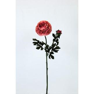 VARA CROCUS OTÑ X 2 ROSA