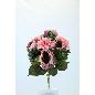 R. DALIA PEONIA X 10 ROSA