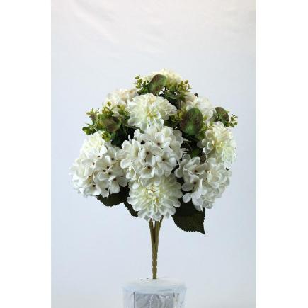 R.DALIA / HORTENSIA BLANCO