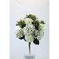 R.DALIA / HORTENSIA BLANCO