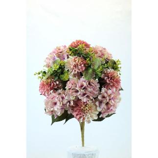 R.DALIA / HORTENSIA MALVA