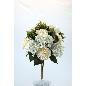 R.DALIA / HORTENSIA CREMA