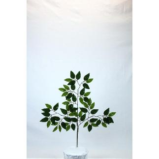 PAQ. 12 V.FICUS REAL TOUCH