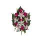 CONJUNTO CAPULLOS-CYM X13-54 CM FUCSIA
