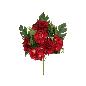 CONJUNTO DALIA-HORTENSIA X 11-60 CM ROJO