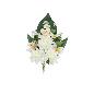 CONJUNTO DALIAS-ORQUIDEA X 9-51 CM BLANCO