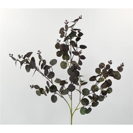 EUCALIPTO BABY GUNNI 80 CM VERDE