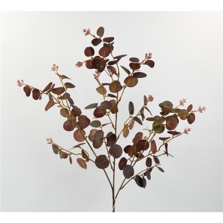 EUCALIPTO BABY GUNNI 80 CM BURDEOS
