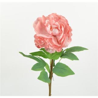 PEONIA SARAH 67 CM SALMON