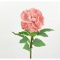 PEONIA SARAH 67 CM SALMON