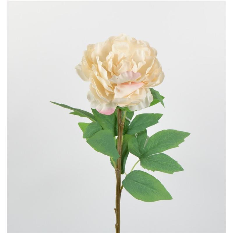 PEONIA SARAH 67 CM CREMA