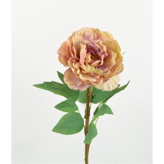 PEONIA SARAH 67 CM MARRON