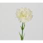 CLAVEL 30 CM BLANCO