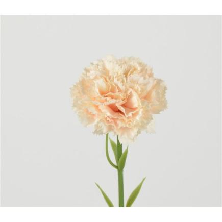 CLAVEL 30 CM SALMON
