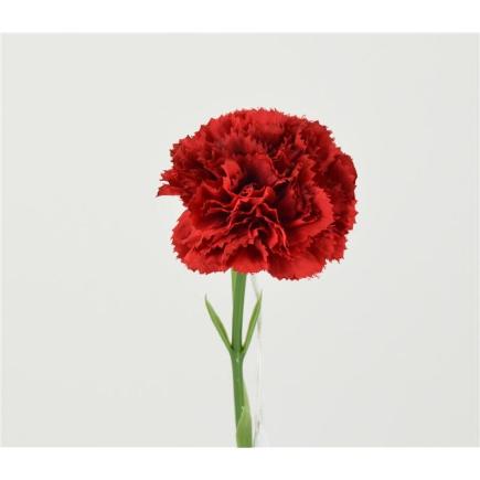 CLAVEL 30 CM ROJO