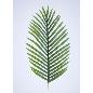 VARA PALMERA 64 CM VERDE