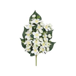 CONJUNTO LILIES-RANUN X 13-57 CM BLANCO