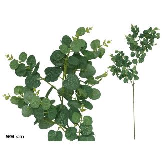 VARA EUCALIPTO X 160 - 99 CM VERDE CLARO