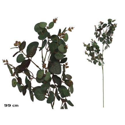 VARA EUCALIPTO X 160 - 99 CM VERDE ROJO