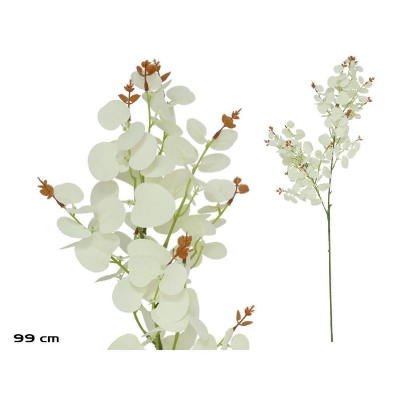 VARA EUCALIPTO X 160 - 99 CM BLANCO