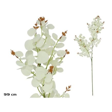 VARA EUCALIPTO X 160 - 99 CM BLANCO