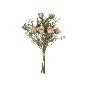ATADO CAPULLITOS MIX (A) - 46 CM BEIGE