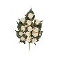 CONJUNTO CAPULLOS PAP (A) X 13-55 CM CREMA