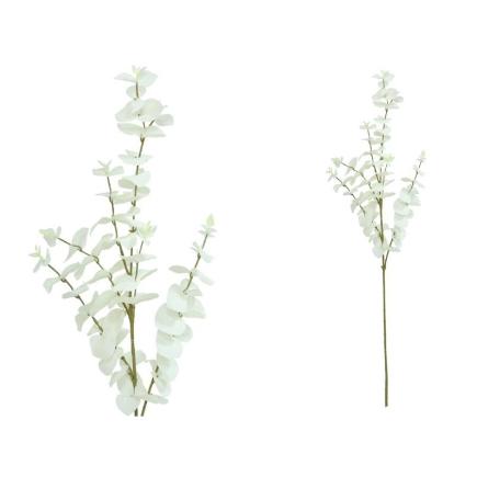 VARA EUCALIPTO X 6-90 CM BLANCO
