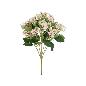 RAMO STAR-GYPSO SATIN X 9-50 CM ROSA