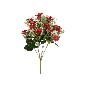 RAMO STAR-GYPSO SATIN X 9-50 CM ROJO