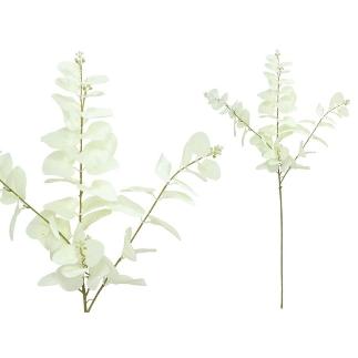 VARA EUCALIPTO C/BAYAS X 3-80 CM BLANCO