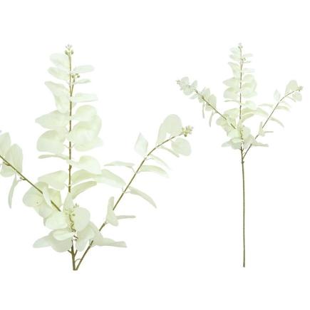 VARA EUCALIPTO C/BAYAS X 3-80 CM BLANCO