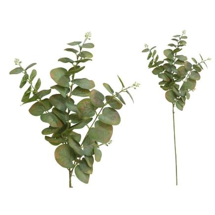 VARA EUCALIPTO C/BAYAS X 3-80 CM VERDE CLARO