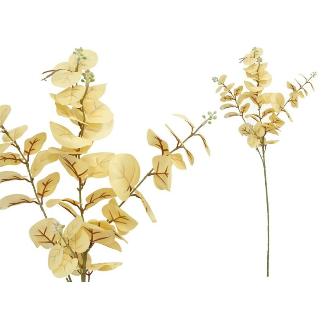 VARA EUCALIPTO C/BAYAS X 3-80 CM CREMA